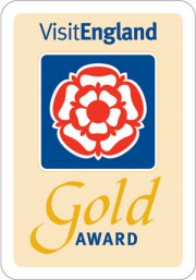 Gold Award W