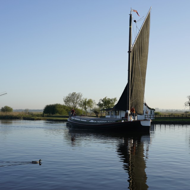 Wherry