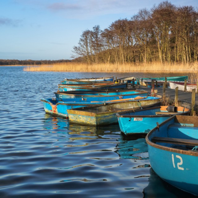 Boats At Ormesby Broad