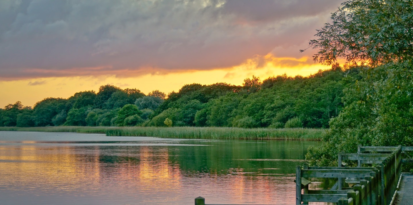 Filby Broad